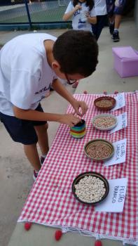 Plantio de Sementes 3ºs anos A e B