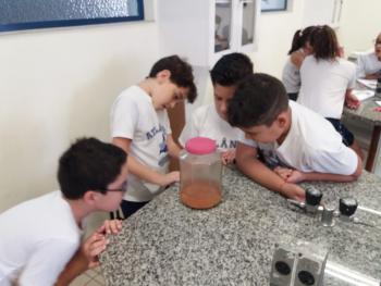 Decantação e Filtração - 4º ano B