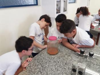 Decantação e Filtração - 4º ano B