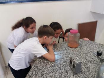 Decantação e Filtração - 4º ano B