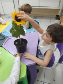 Jardim é um lugar assim! - Jardim I A e B
