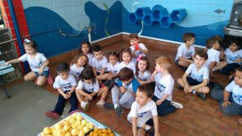 Lanche Comunitário e Encerramento do 1º Sem - Educação Infantil