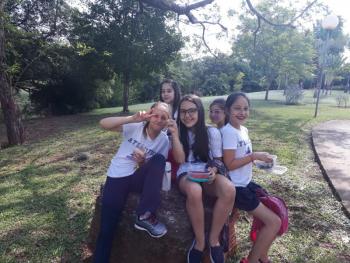 English Picnic - 5º ano