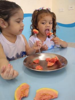 Projeto Frutas - Maternal I