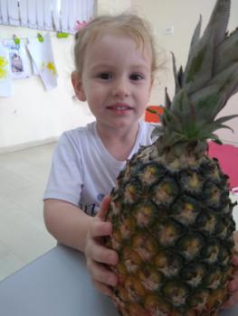 Projeto Frutas - Maternal I