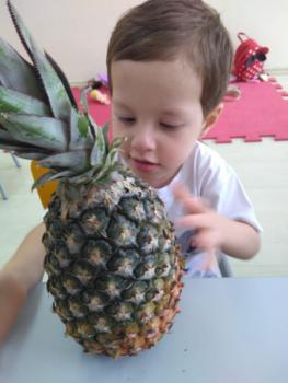 Projeto Frutas - Maternal I