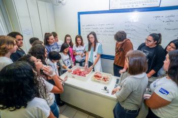 Aula no Laboratório - 9º ano