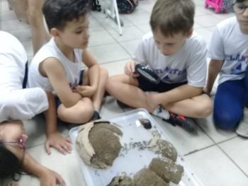 Explorando a Natureza - 3º ano A