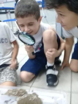 Explorando a Natureza - 3º ano A