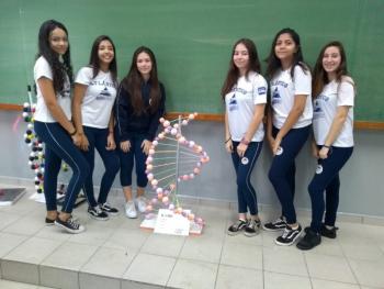 Hélice da Vida - 8º ano A