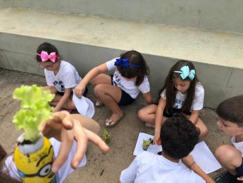 Alimentação saudável: plantio de alface - 2º ano A