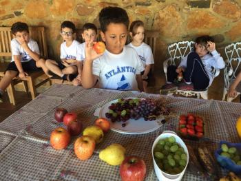 Vida Saudável - 1º ano A