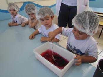 Preparação de gelatina - Jardim I