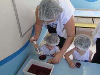 Preparação de gelatina - Jardim I