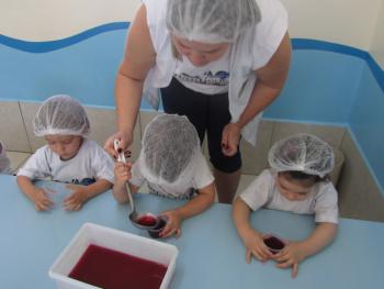 Preparação de gelatina - Jardim I