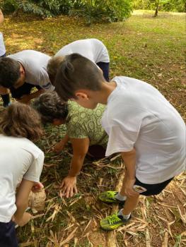 Explorar é preciso - 5 anos A e B