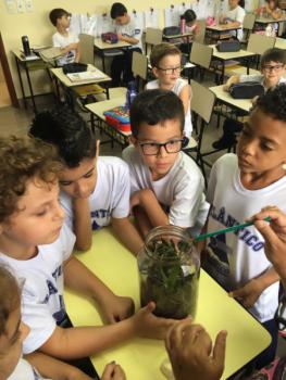 Natural Science - 1ºs anos