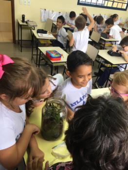 Natural Science - 1ºs anos