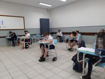Aos poucos estamos voltando ..
