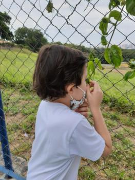 1° ano A - A interação dos seres humanos com o meio ambiente