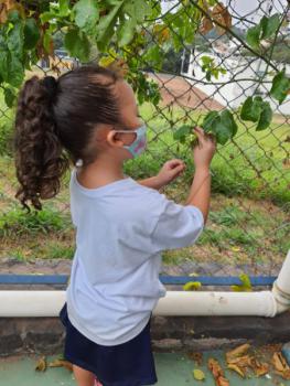 1° ano A - A interação dos seres humanos com o meio ambiente