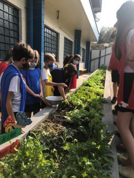 Colheita na horta - Ensino Fundamental I