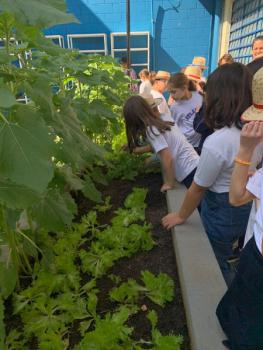 Harvest Time!!