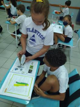 Animais Vertebrados - 3ºano B