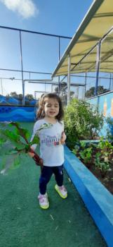 Maternal I plantando, colhendo e fazendo bolo de beterraba