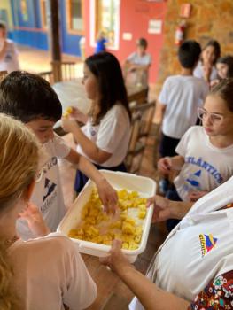 EXPERIMENTO COM ABACAXI - 5º ANO