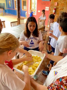 EXPERIMENTO COM ABACAXI - 5º ANO