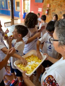 EXPERIMENTO COM ABACAXI - 5º ANO