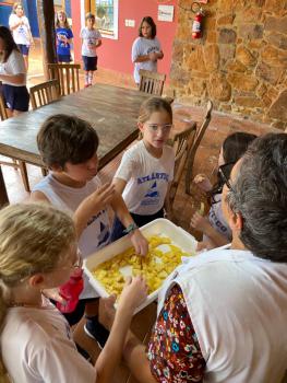 EXPERIMENTO COM ABACAXI - 5º ANO