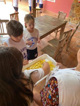 EXPERIMENTO COM ABACAXI - 5º ANO