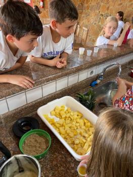 EXPERIMENTO COM ABACAXI - 5º ANO