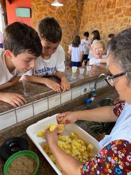 EXPERIMENTO COM ABACAXI - 5º ANO