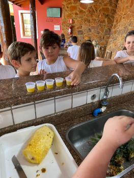 EXPERIMENTO COM ABACAXI - 5º ANO