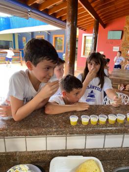 EXPERIMENTO COM ABACAXI - 5º ANO