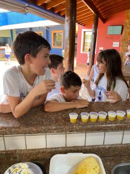 EXPERIMENTO COM ABACAXI - 5º ANO