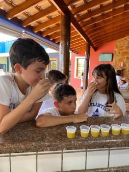 EXPERIMENTO COM ABACAXI - 5º ANO