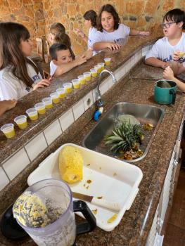 EXPERIMENTO COM ABACAXI - 5º ANO