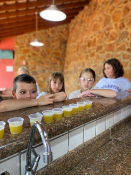 EXPERIMENTO COM ABACAXI - 5º ANO