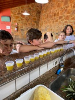 EXPERIMENTO COM ABACAXI - 5º ANO