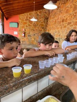 EXPERIMENTO COM ABACAXI - 5º ANO