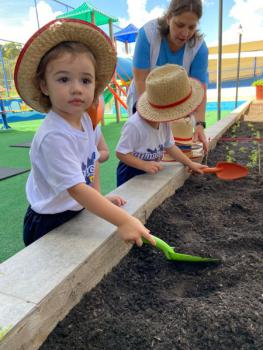 Horta - Educação Infantil