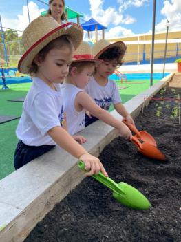 Horta - Educação Infantil