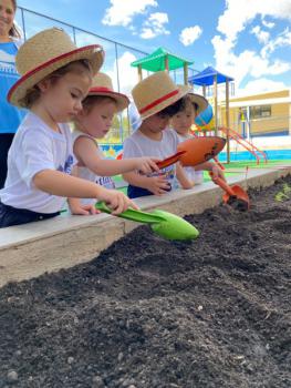 Horta - Educação Infantil