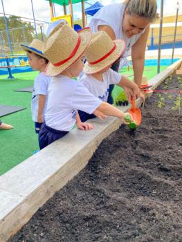 Horta - Educação Infantil