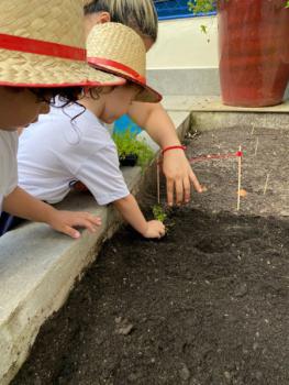 Horta - Educação Infantil