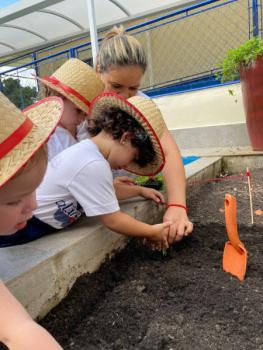 Horta - Educação Infantil